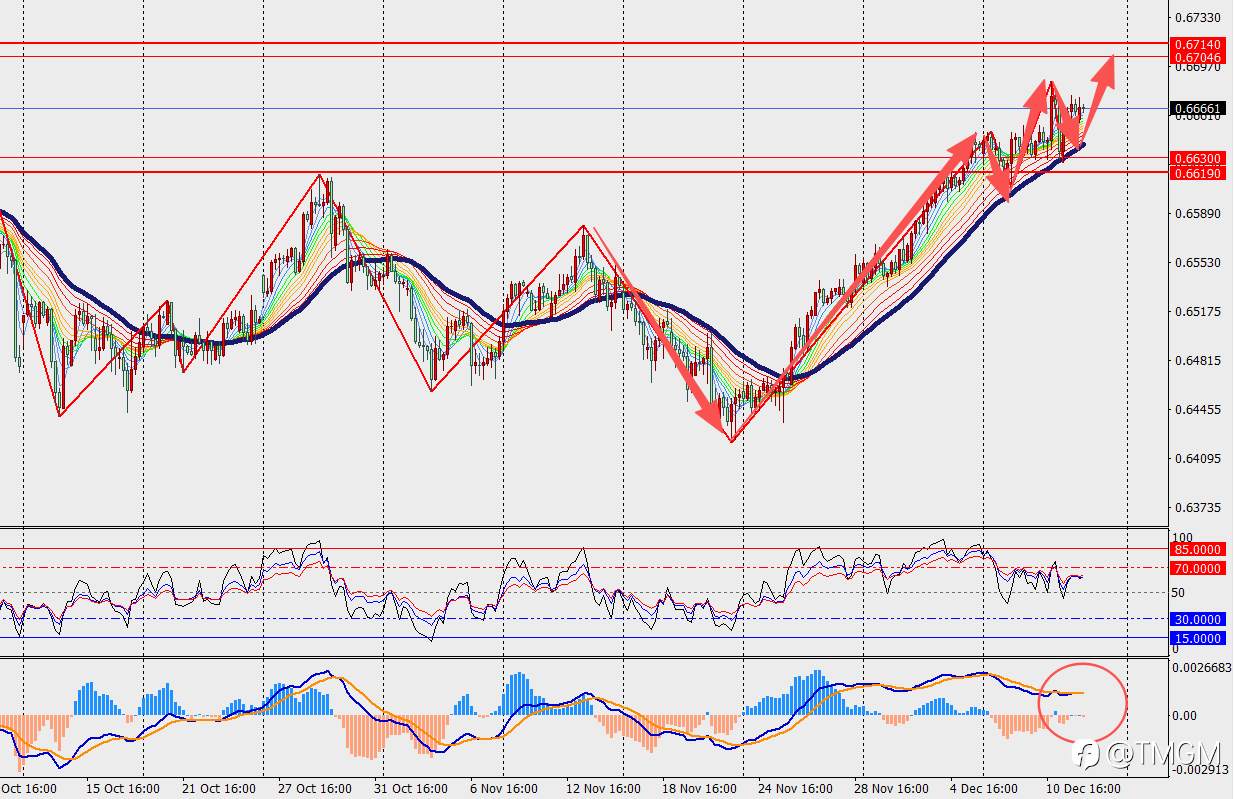 TMGM每日市场12月12日