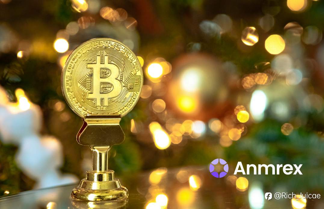 Institutional Crypto Trends as Seen in the FSOC Annual Report: Insights from Anmrex Exchange