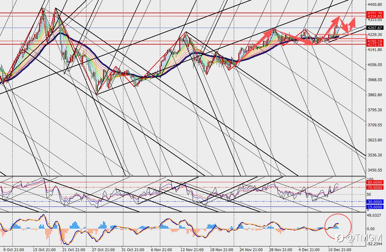 TMGM: 高盛表示金价2026年还有上涨空间,美国散户功不可没!