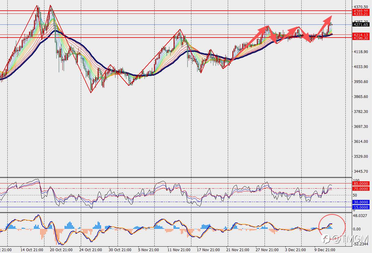 TMGM每日市场12月12日