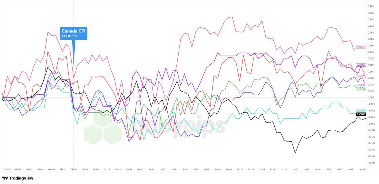 CAD Steadies After November CPI Meets Forecasts and Core Pressures Ease