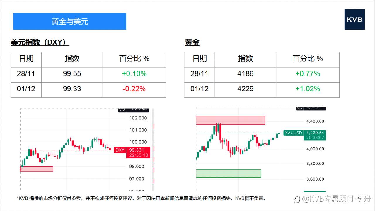 今日12.01号 市场分析#Tesla TSLA #EUR/USD #BCH/USD #DOT/USD