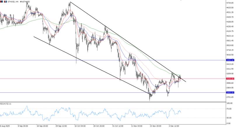 2025年12月09日市场报告