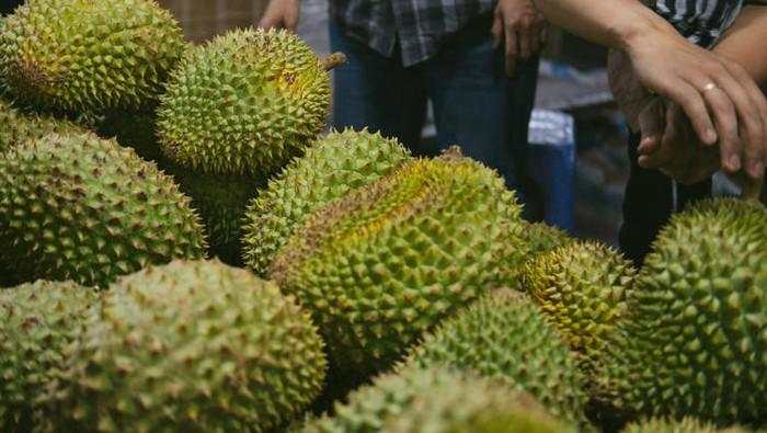 Indonesia Punya Saingan Baru, Laos Ikut Ekspor Durian ke China