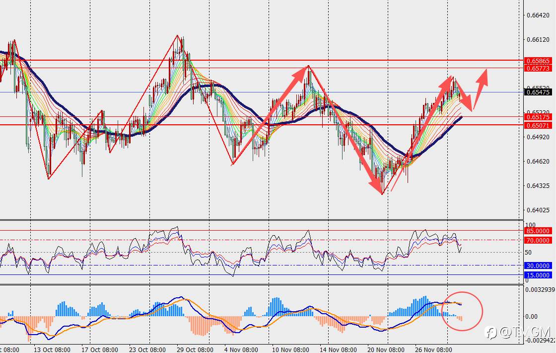 TMGM每日市场12月02日