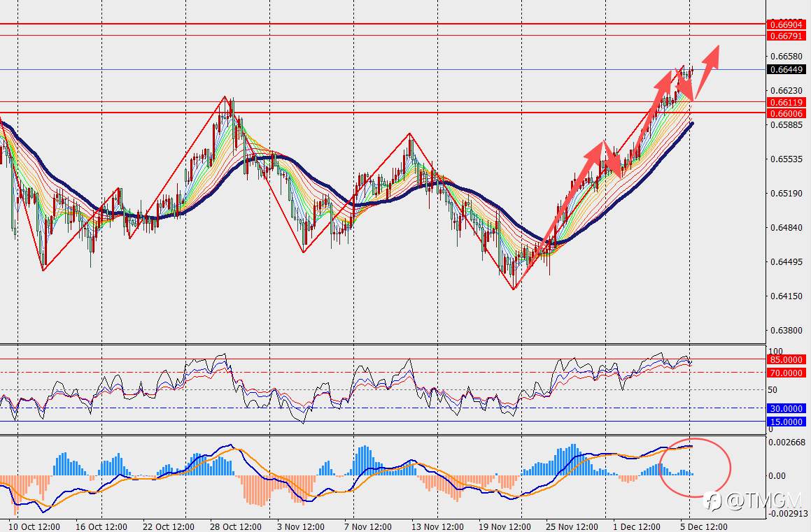 TMGM每日市场12月08日
