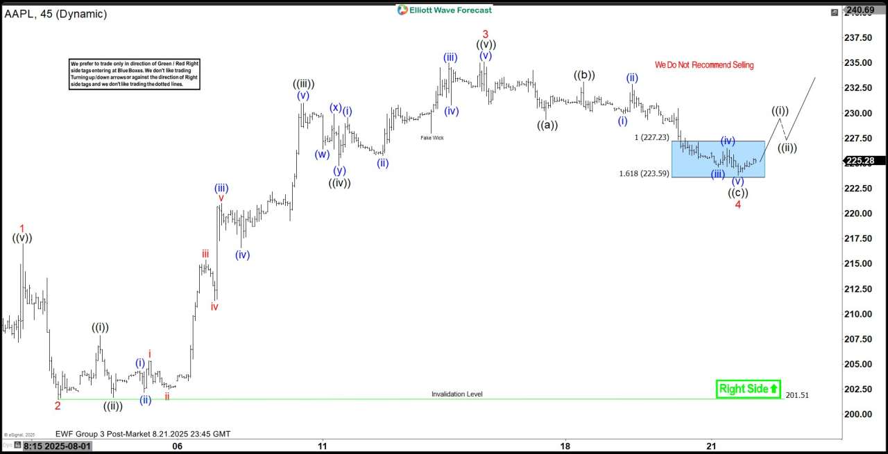 Apple Inc. $AAPL Soars 30% from Blue Box Area, With $290 Target Still Ahead