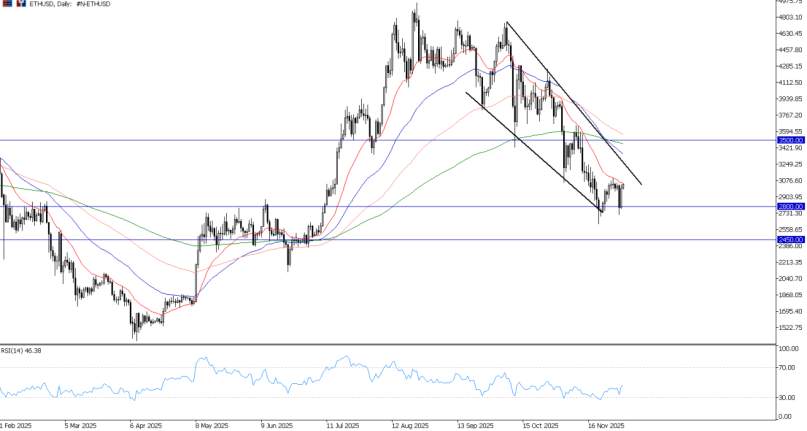2025年12月03日市场报告