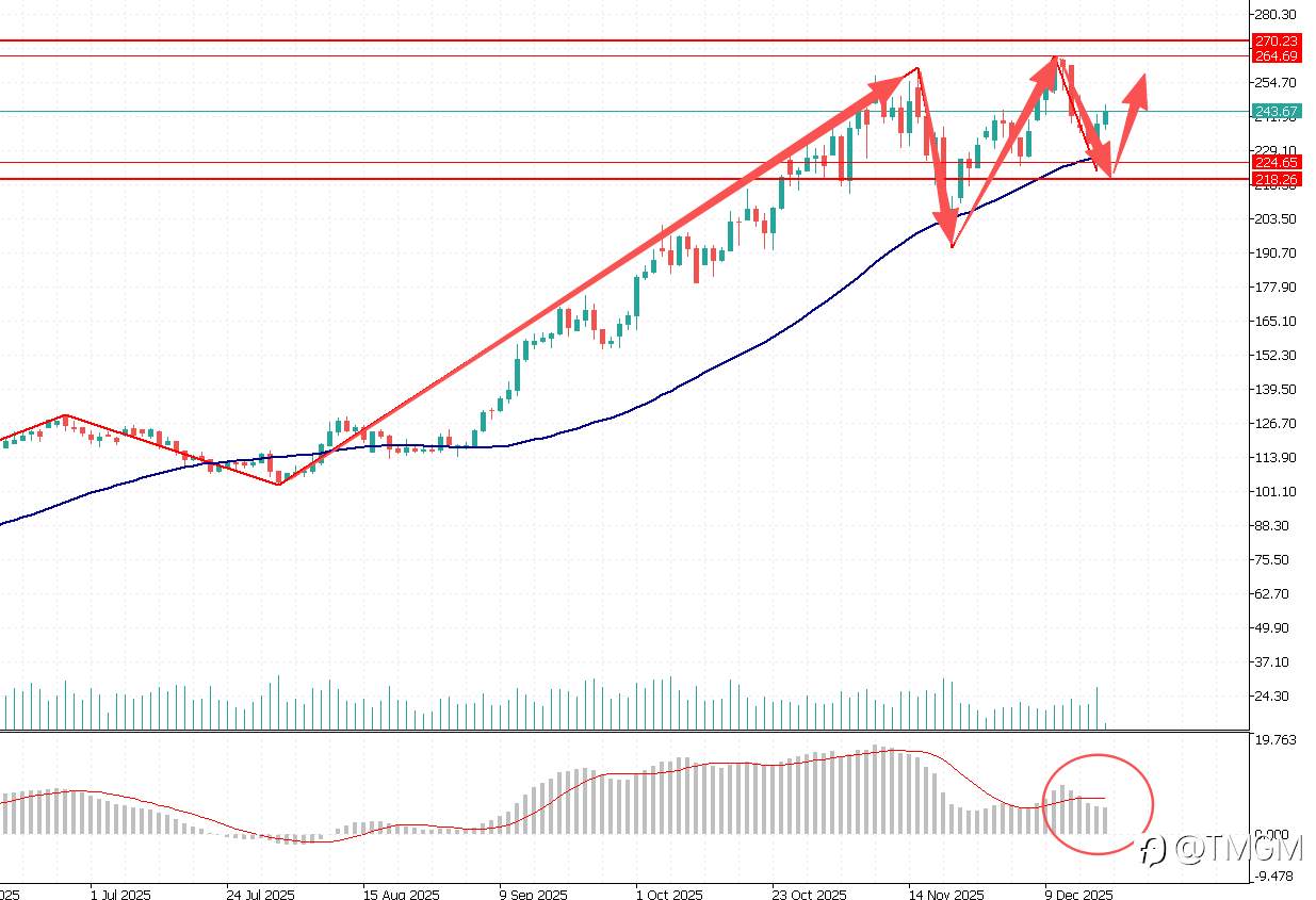 TMGM每日市场12月18日