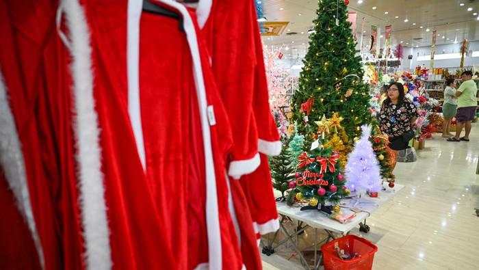 Berburu Pohon Natal, Harga Mulai Rp300 Ribu hingga Puluhan Juta