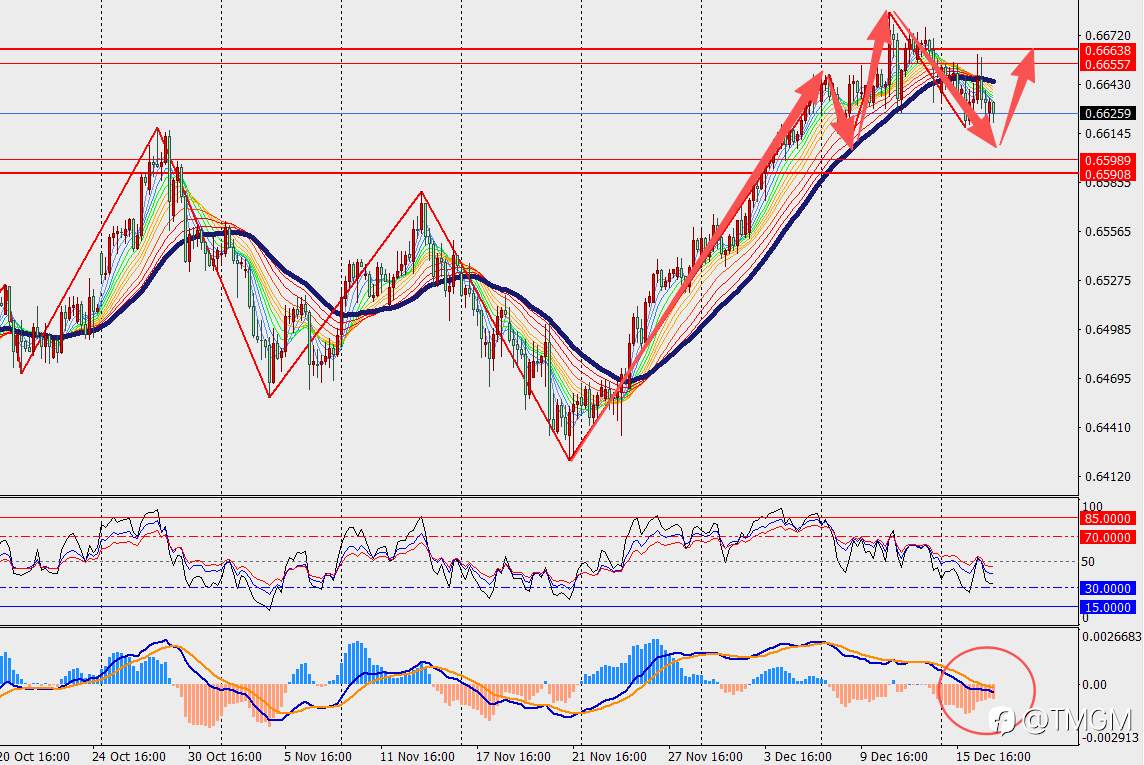 TMGM每日市场12月17日