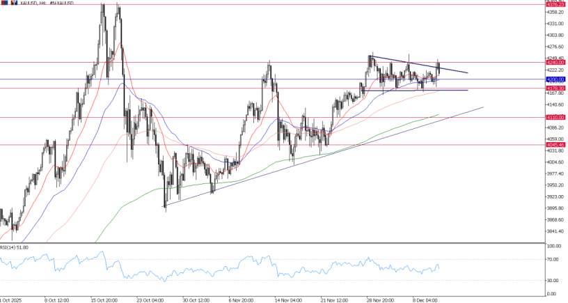 2025年12月11日市场报告