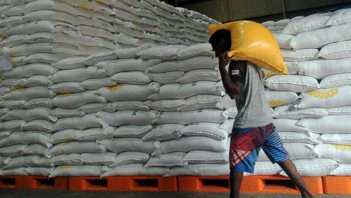 Pasokan Beras di Papua Digenjot hingga 500 Ribu Ton, Sawah 100 Ribu Ha Dibuka