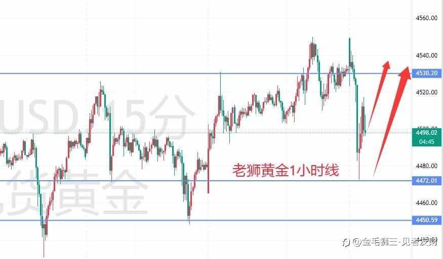 老狮12.29黄金早评：下方支撑关口站稳，回调布局正当时