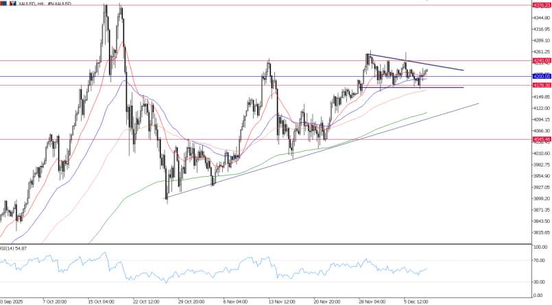 2025年12月10日市场报告