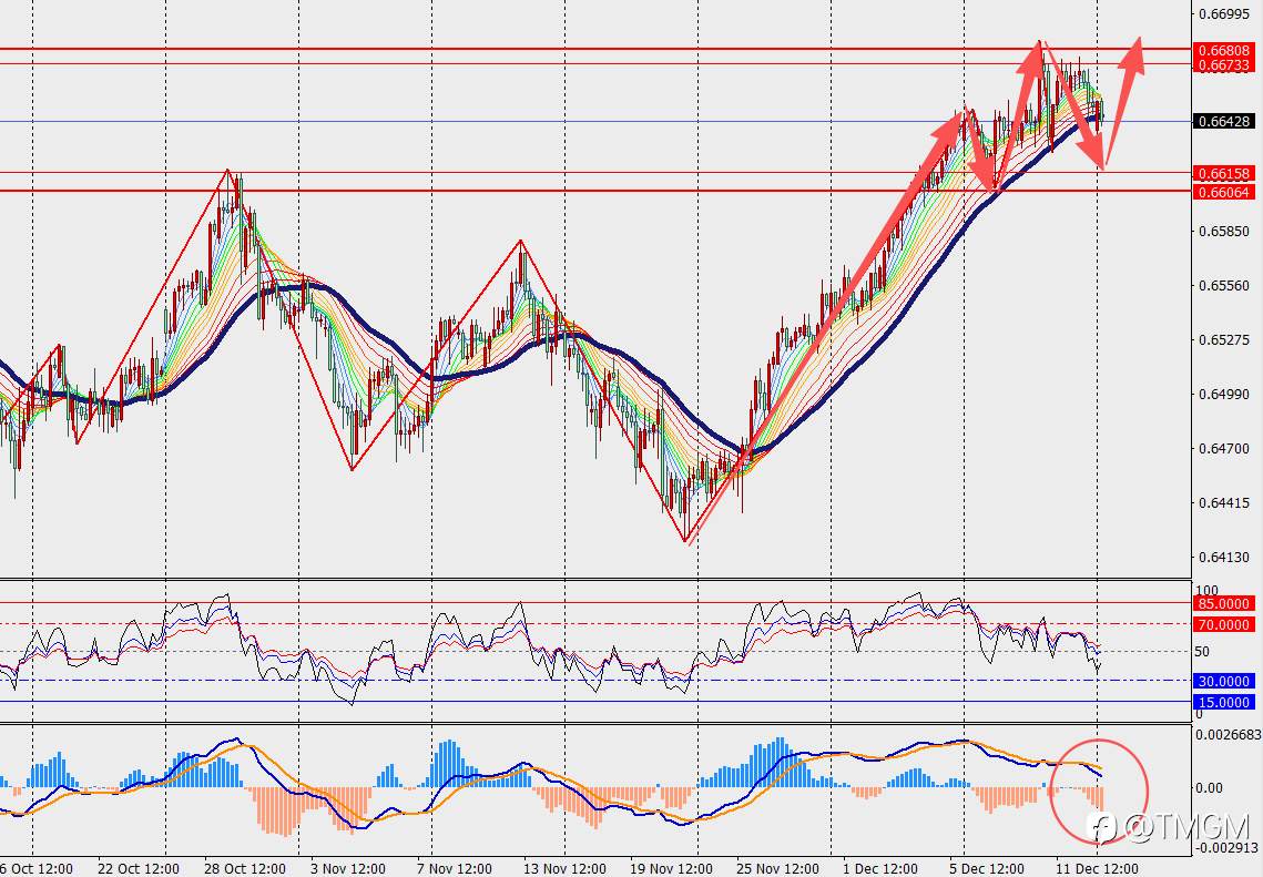 TMGM每日市场12月15日