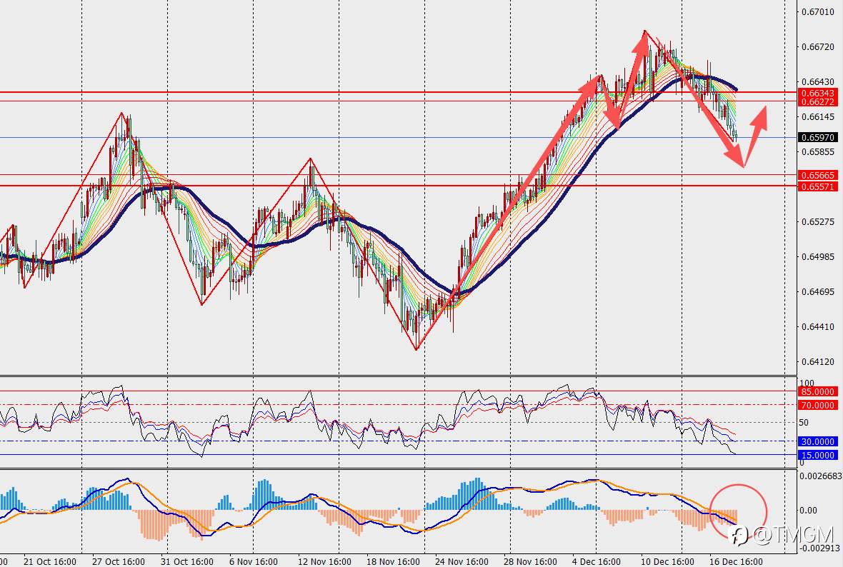 TMGM每日市场12月18日