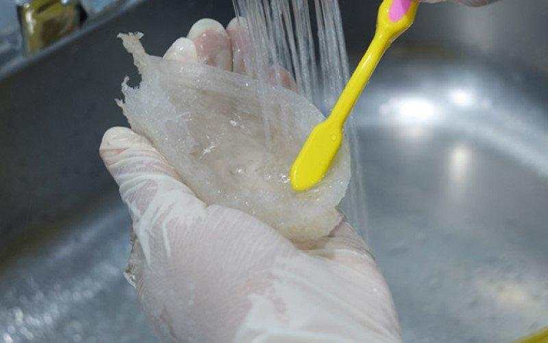 RLCO Siap Listing di BEI 8 Desember 2025, Harga Saham Rp168