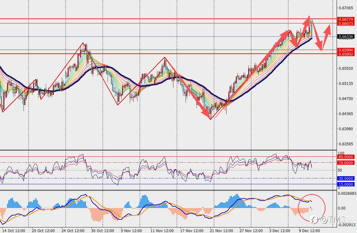 TMGM每日市场12月11日
