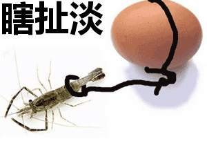 feed-image-0