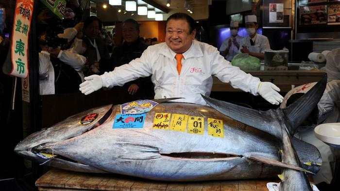 Penampakan Tuna Seharga Rp 53 Miliar