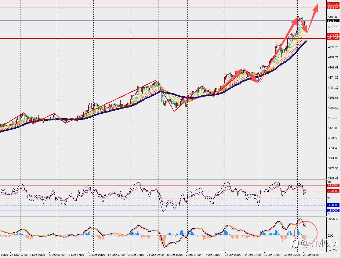 TMGM每日市场1月27日