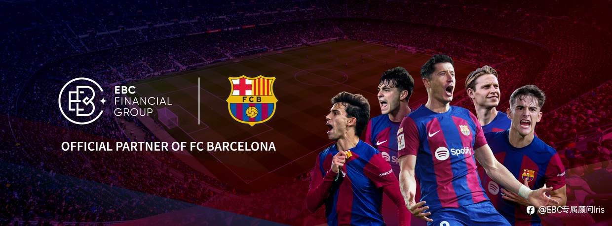 从“渡边夫人”现象看个人投资者的结构性机遇