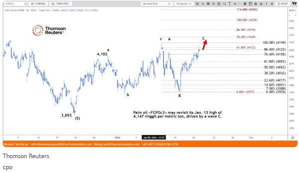 Harga CPO Menguat Ditopang Minyak Nabati Pesaing, Namun Turunnya Minyak Mentah Batasi Kenaikan