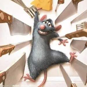 年度盛典!Followme 2025年度”社区之星“揭晓!