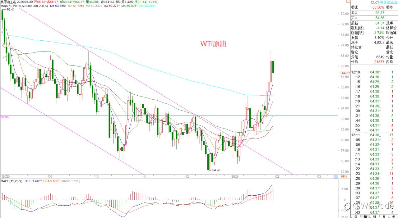 2026年1月30日|每日汇评-策略分析|王萍:黄金面临高位震荡