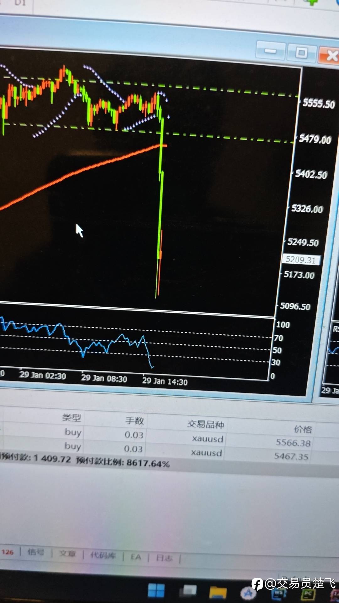 feed-image-1