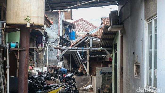 Di Balik Padatnya Jakarta, Peternakan Sapi Ini Tetap Hidup Berdampingan