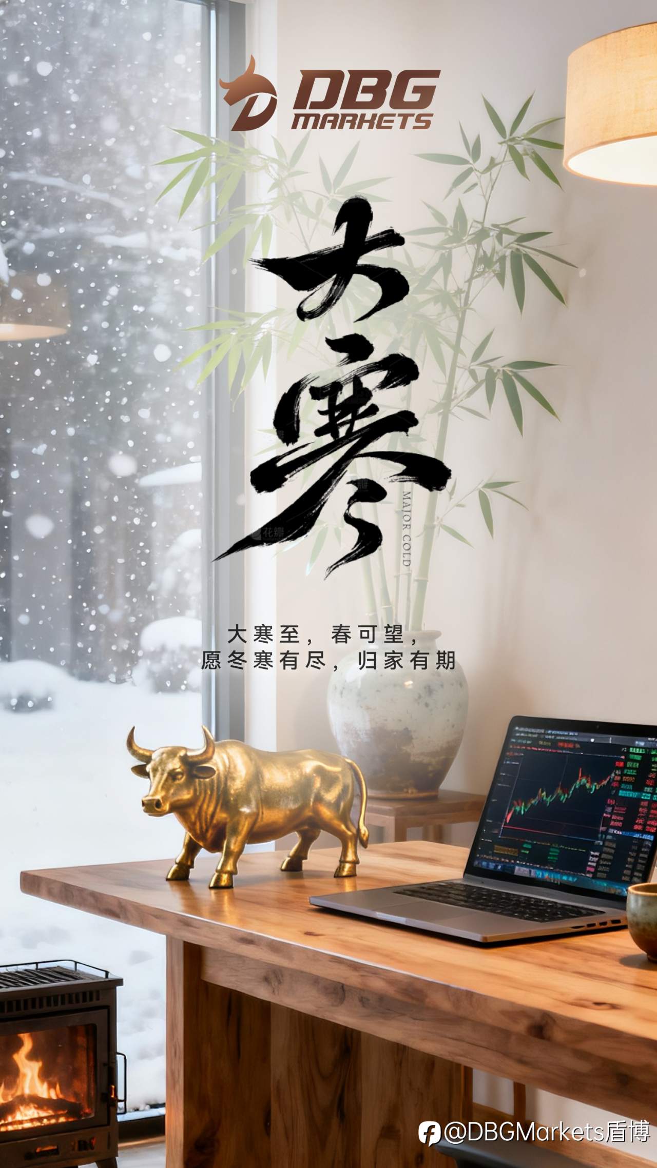 大寒:大寒至,春可望,愿冬寒有尽,归家有期❄️