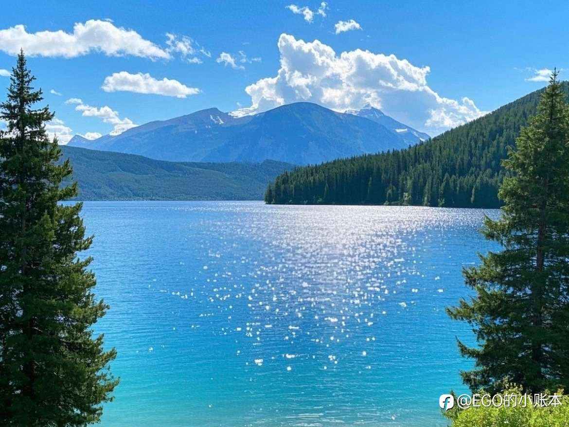 2025 年 XAUUSD 交易年度复盘