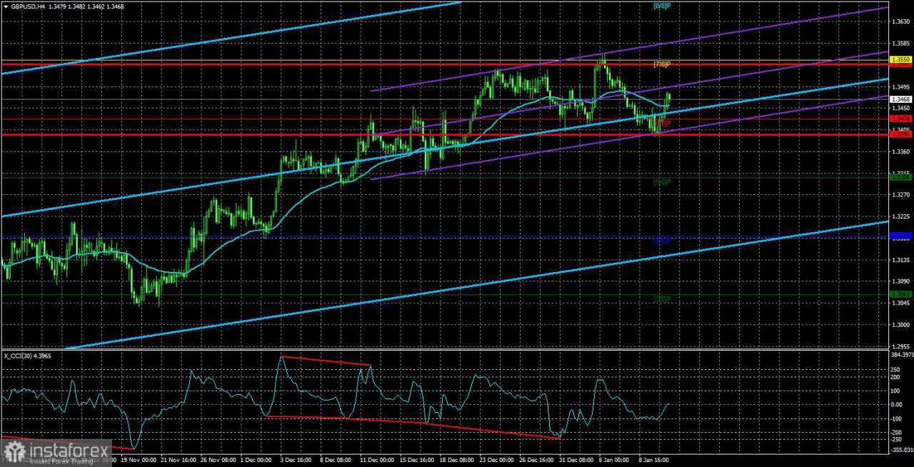 Gambaran Umum Pasangan GBP/USD. 13 Januari. Eksekusi Publik Powell