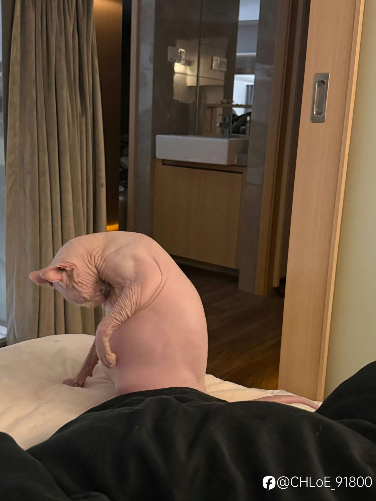 交易日记|1月13–14日