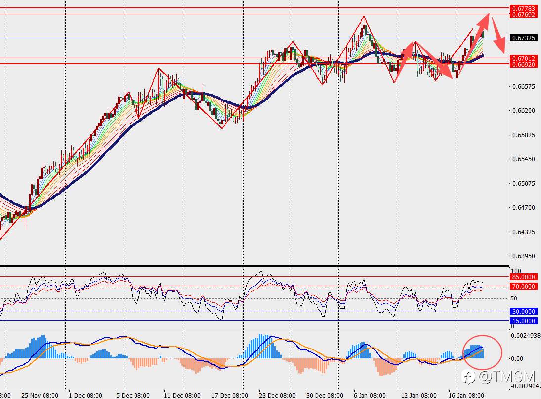 TMGM每日市场1月21日