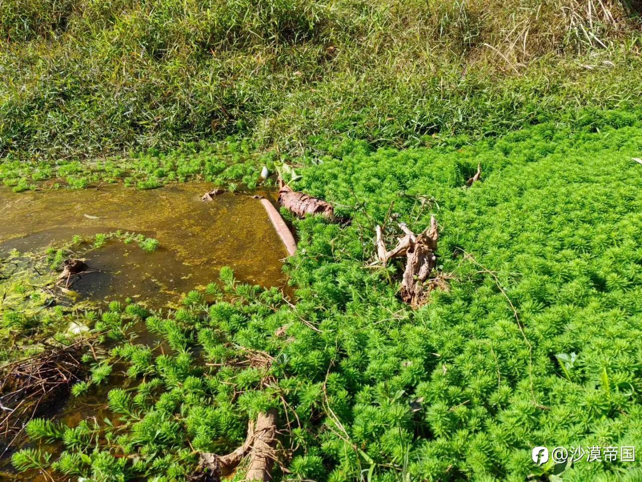 2026.1.20 外汇每日交易策略