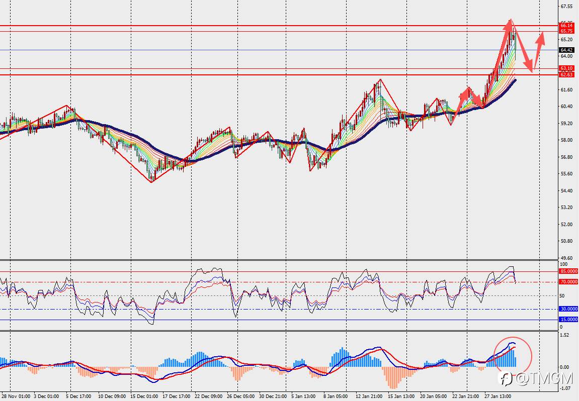 TMGM每日市场1月30日