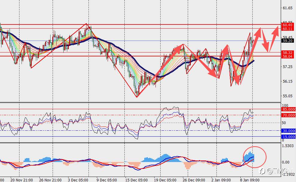 TMGM每日市场1月12日