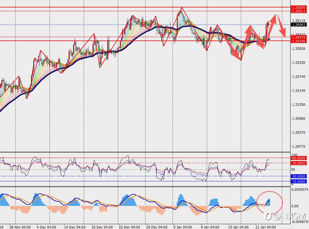 TMGM每日市场1月23日