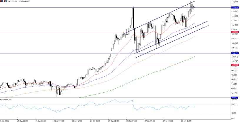 2026年1月29日市场报告
