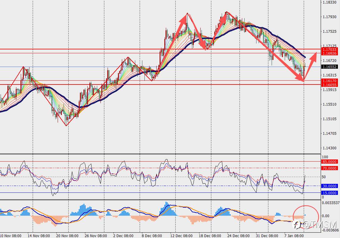 TMGM每日市场1月12日