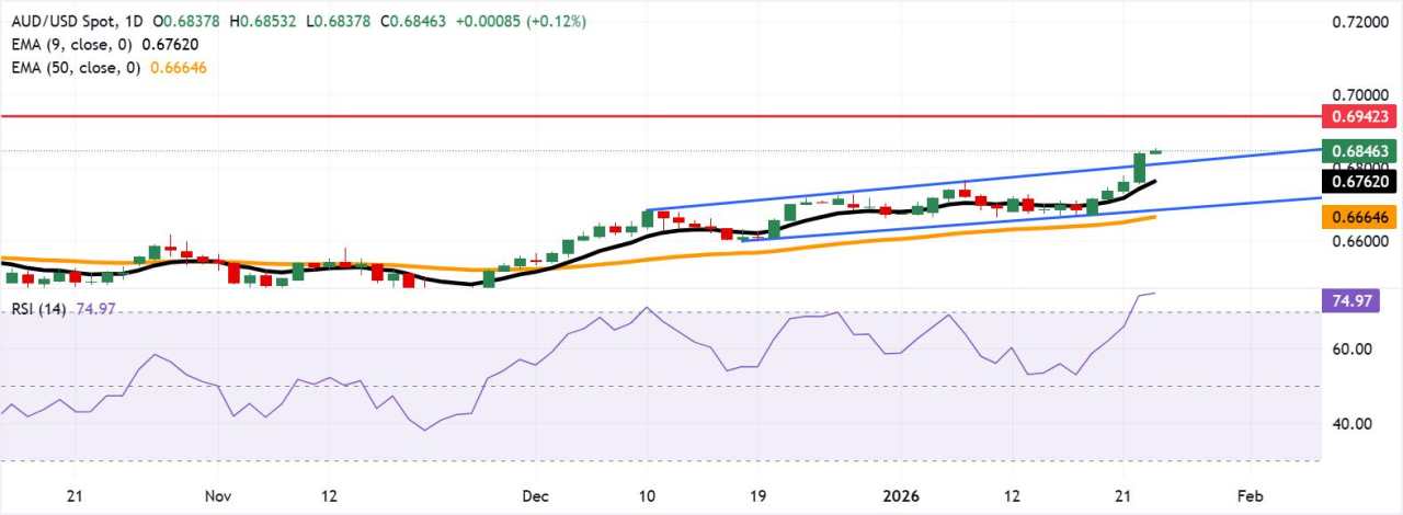 Dolar Australia Menguat Setelah Data PMI