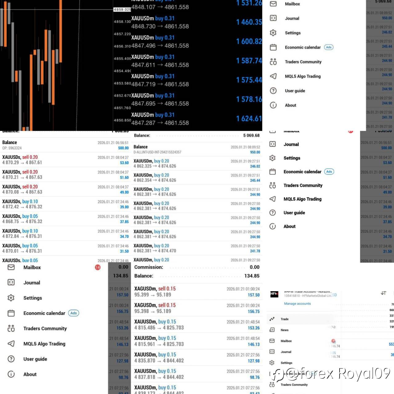 feed-image-1