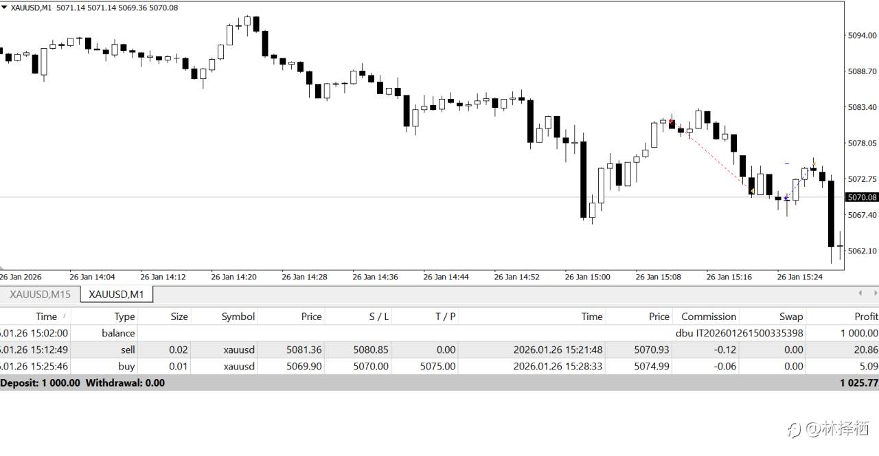 1000美元日内交易(-)