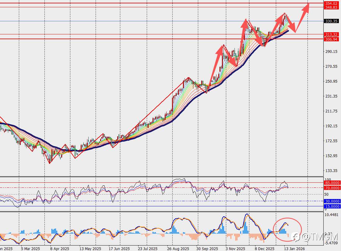 TMGM每日市场1月20日