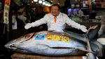 Penampakan Tuna Seharga Rp 53 Miliar