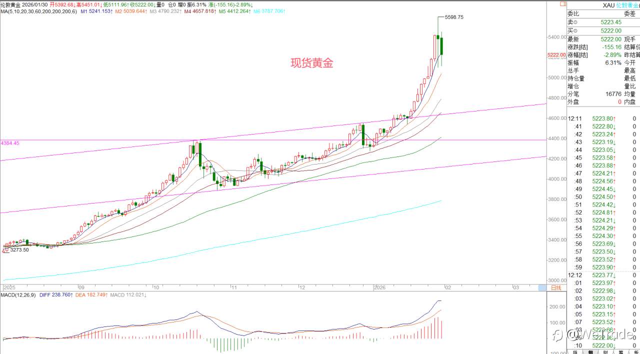 2026年1月30日|每日汇评-策略分析|王萍:黄金面临高位震荡