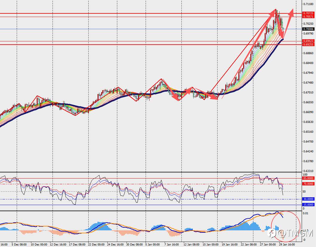 TMGM每日市场1月30日